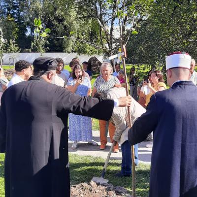 Interrel 20250920 17